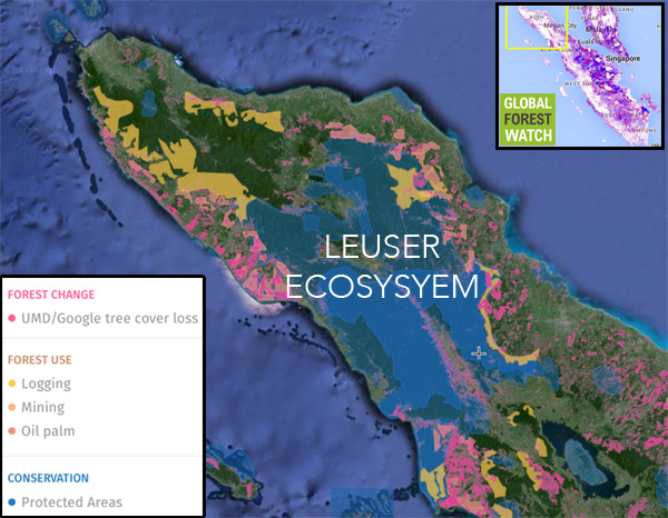 Peta digital Ekosistem Leuser dengan layer tutupan lahan dan area konservasi.