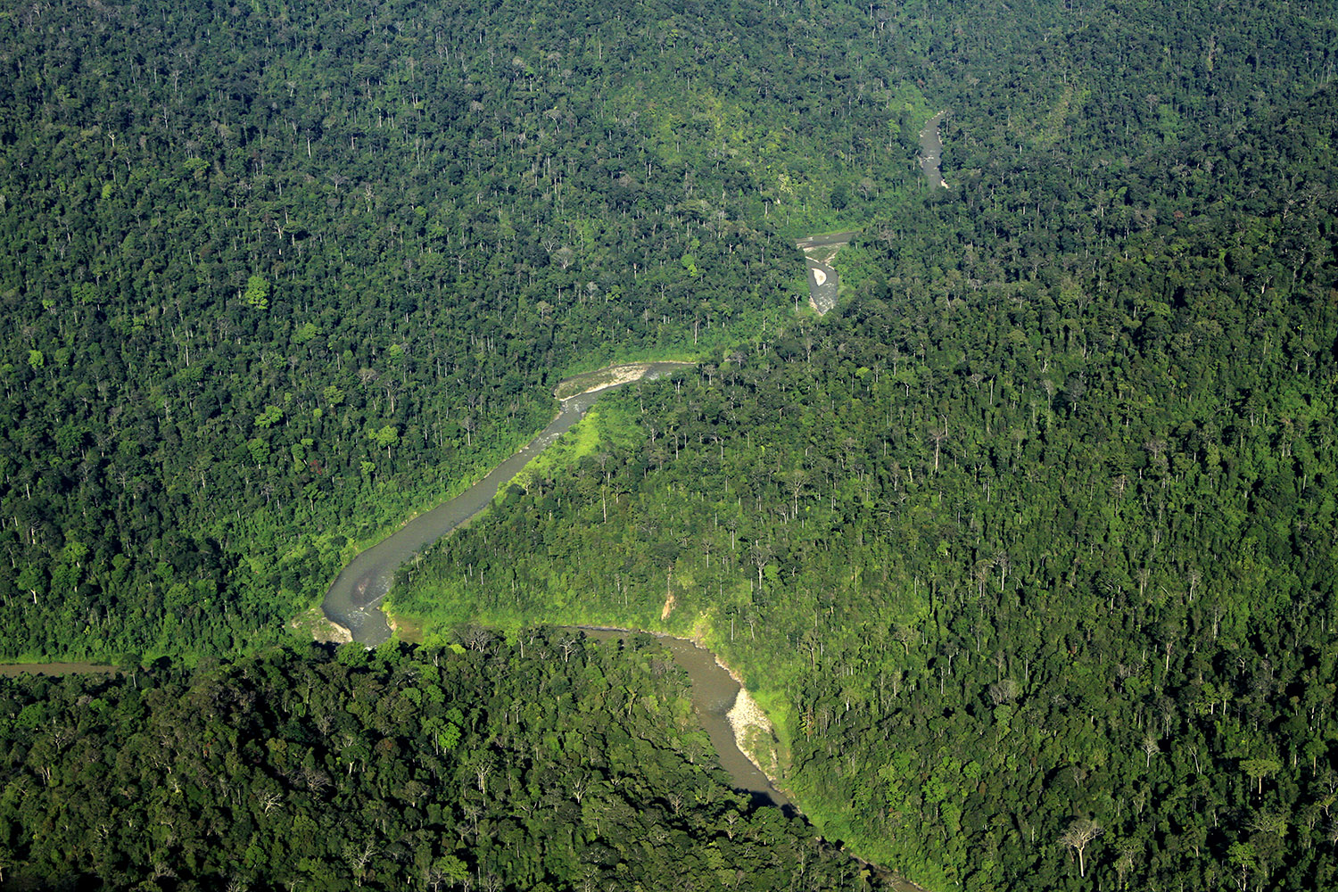 Aliran sungai yang membelah bentang hutan Leuser.